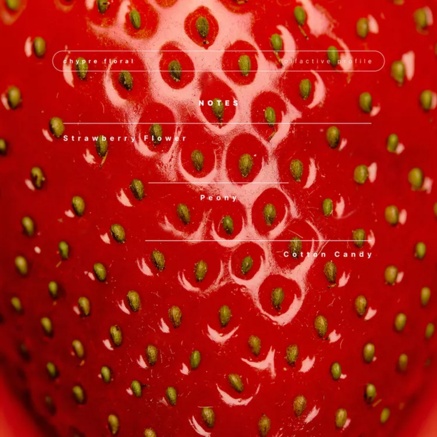 Zara perfume strawberry dress