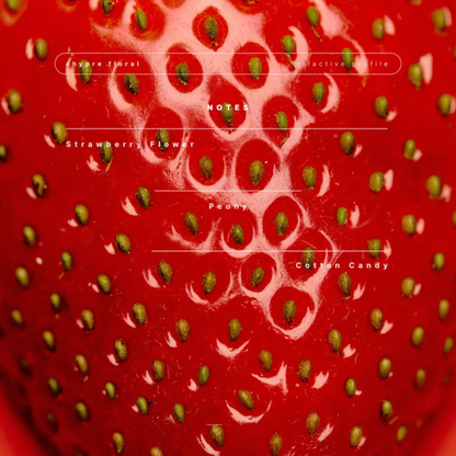 Zara perfume strawberry dress