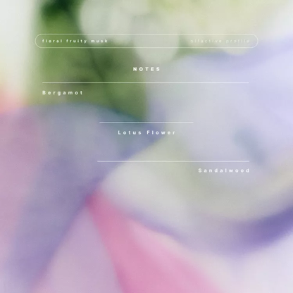 Zara perfume lightly bloom