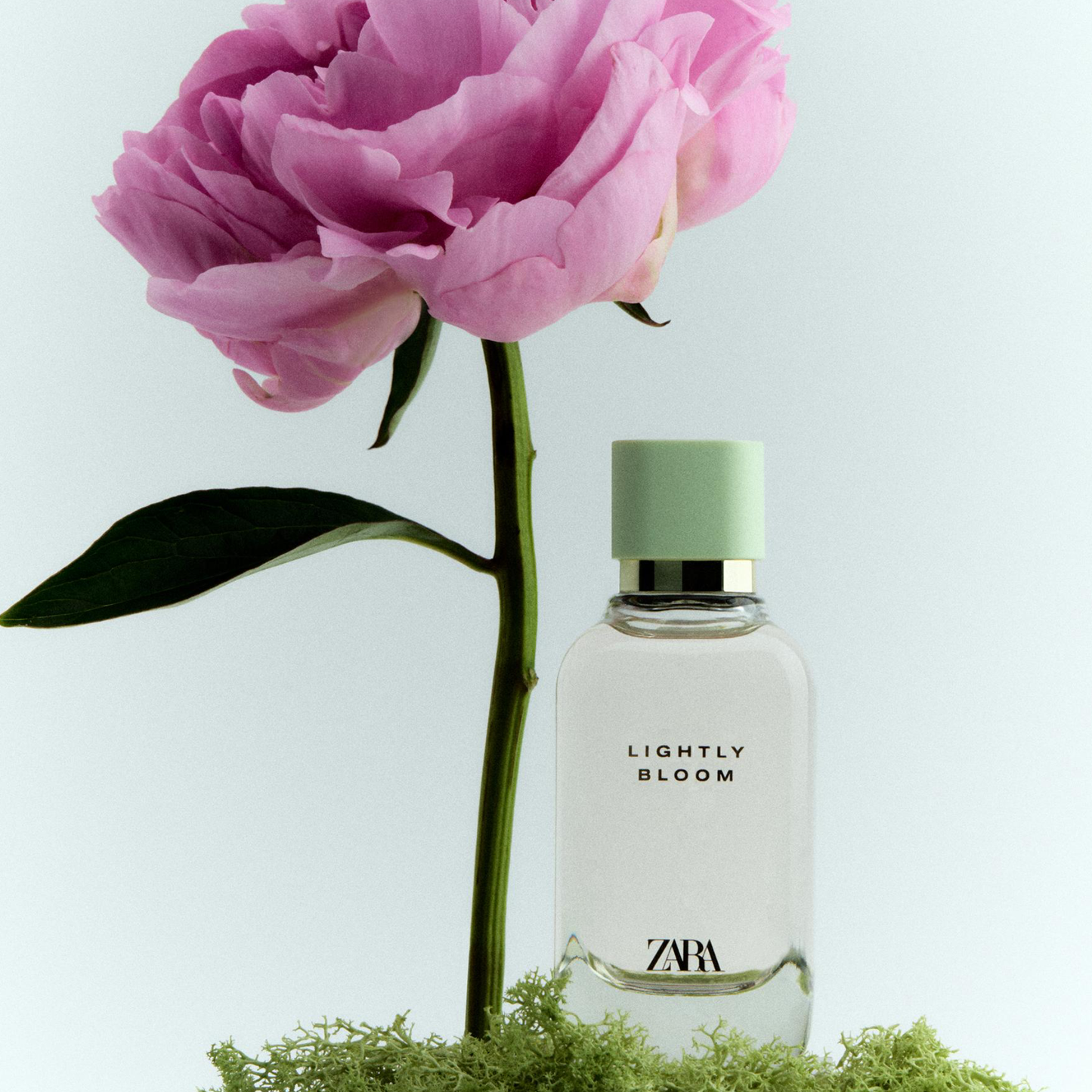 Zara perfume lightly bloom