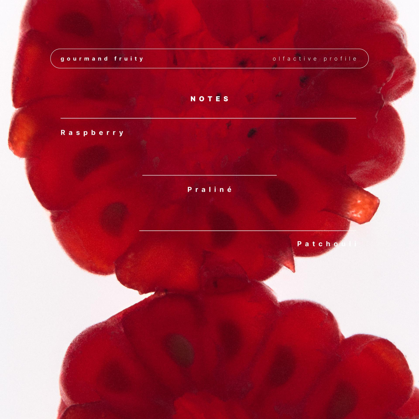 Zara perfume Red Vanilla